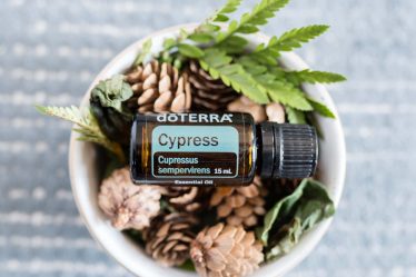 Cypress Cyprus esenciálny olej dōTERRA doterra