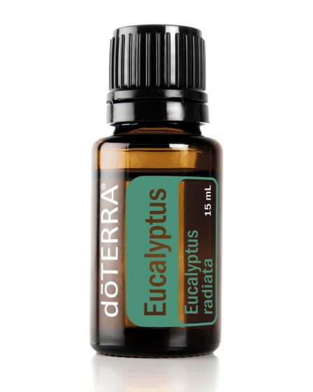 Eucalyptus radiata Eukalyptus esenciálny olej dōTERRA doterra