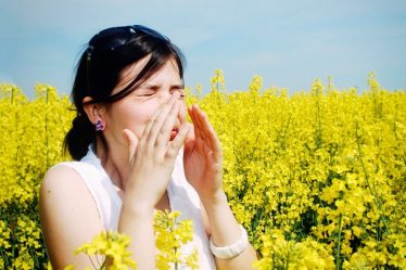 Senná nádcha jarná alergia